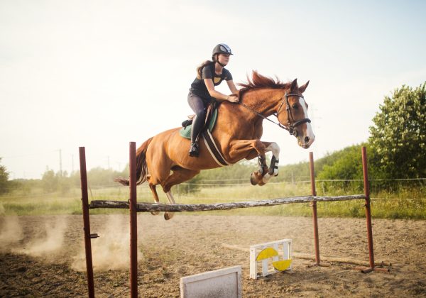 Young female jockey on her horse leaping over hurdle