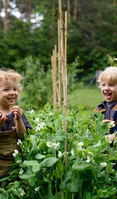 Portrait of two small children in vegetable garden, sustainable lifestyle concept.