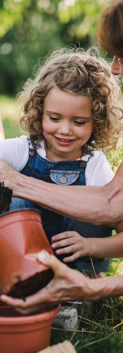 Senior grandparents and granddaughter gardening in the backyard garden. Man, woman and a small girl working.