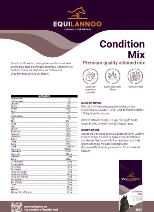 FICHE TECHNIQUE CONDITION MIX