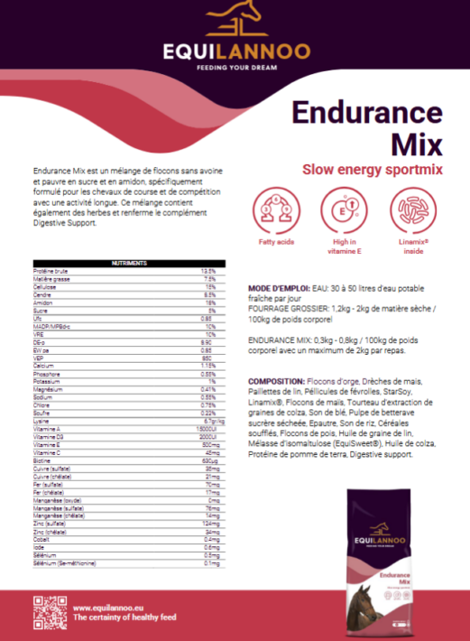 FICHE TECHNIQUE ENDURANCE MIX