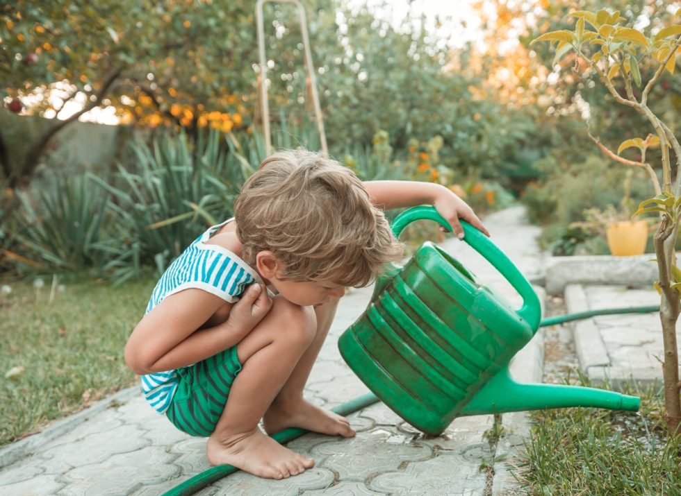 the little boy is harvesting the fall harvest in the garden